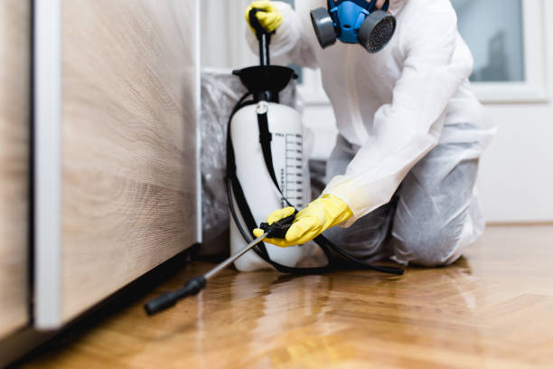 Best Best Pest Control Companies  in Yellow Springs, OH