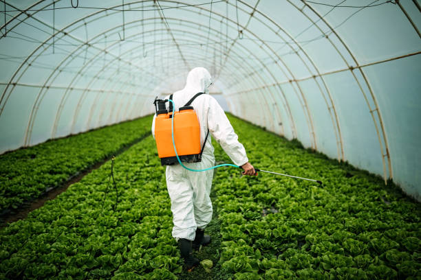 Pest Control Cost in Yellow Springs, OH
