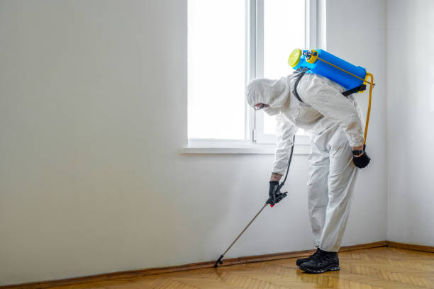 Best Residential Pest Control  in Yellow Springs, OH