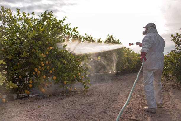 Best Commercial Pest Control Services  in Yellow Springs, OH