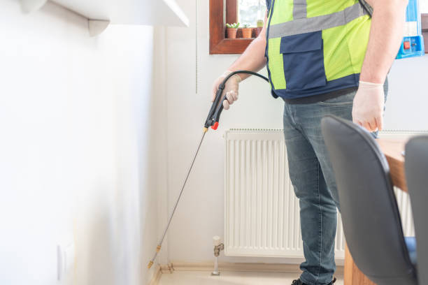 Best Flea Control Services  in Yellow Springs, OH