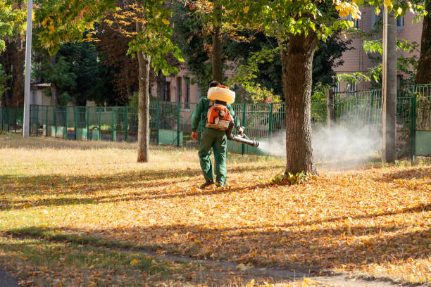 Best Spider Control Near Me  in Yellow Springs, OH