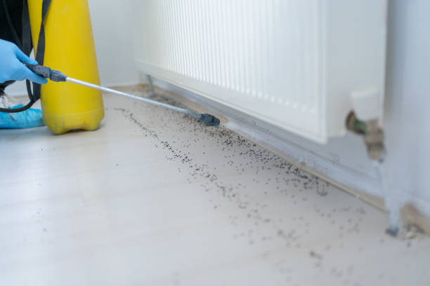 Best Pest Control Cost  in Yellow Springs, OH